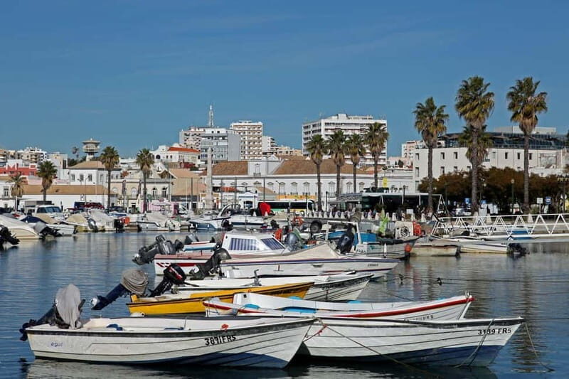 Faro: Private City 2 Hour Sightseeing Tour with Local - Transportation and Group Size