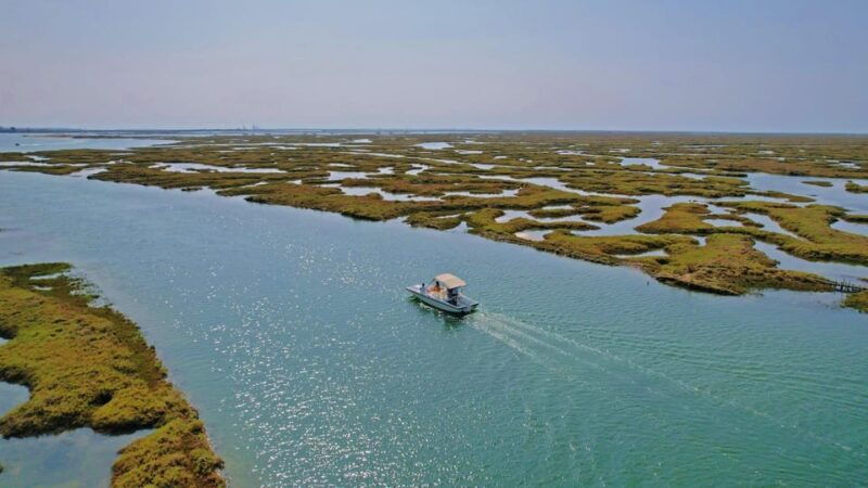 faro-ria-formosa-boat-tour-by-eco-friendly-solar-boat