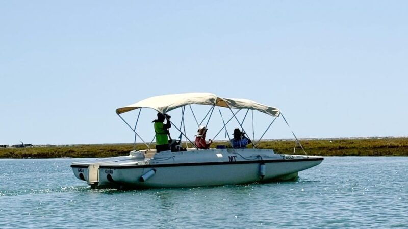 faro-ria-formosa-boat-tour-by-eco-friendly-solar-boat