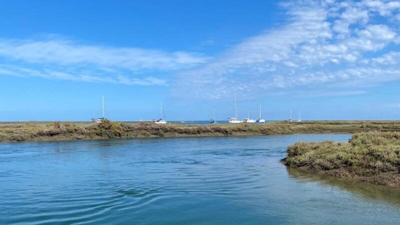faro-ria-formosa-boat-tour-by-eco-friendly-solar-boat