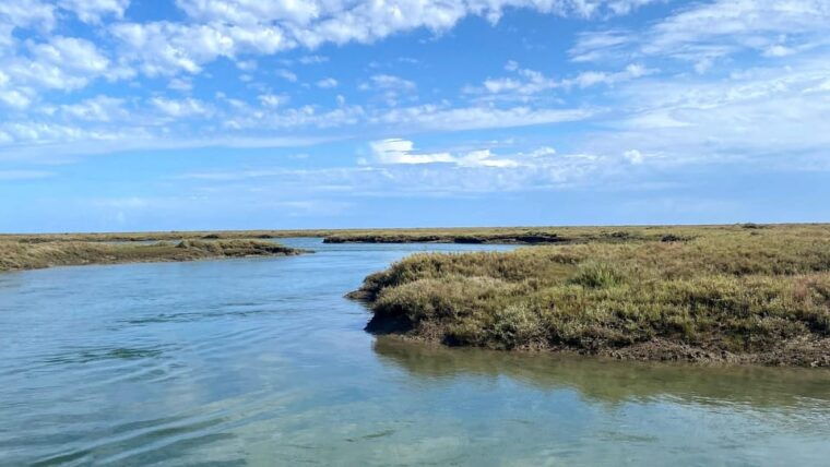 faro-ria-formosa-boat-tour-by-eco-friendly-solar-boat