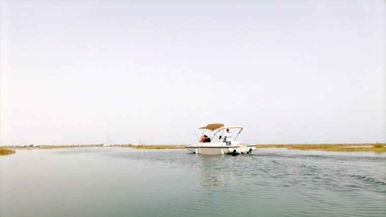 faro-ria-formosa-boat-tour-by-eco-friendly-solar-boat