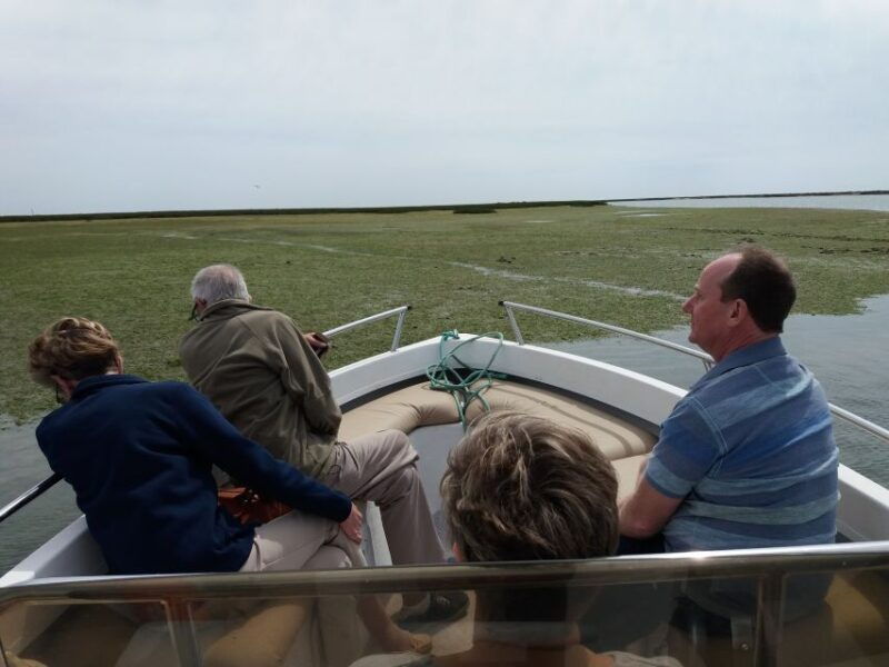 faro-ria-formosa-boat-tour