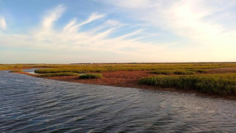 faro-ria-formosa-boat-tour