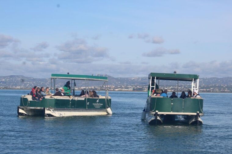 faro-ria-formosa-guided-sunset-tour-by-catamaran