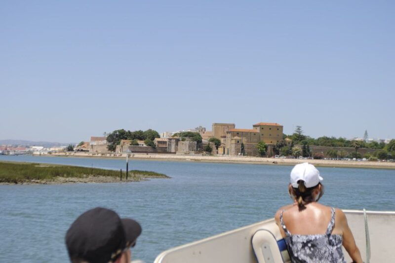 faro-ria-formosa-lagoon-small-boat-tour-with-local-guide