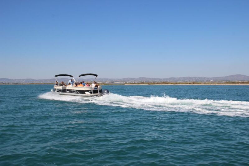 faro-ria-formosa-lagoon-small-boat-tour-with-local-guide