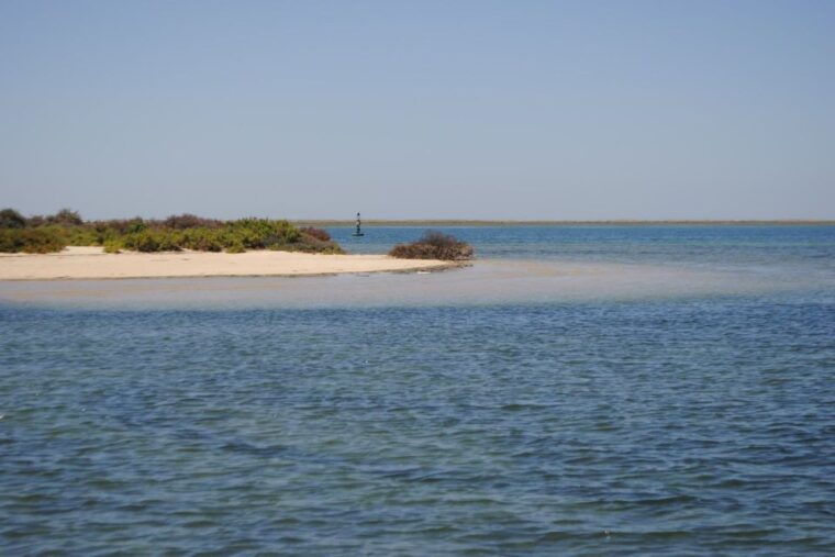 faro-ria-formosa-lagoon-small-boat-tour-with-local-guide
