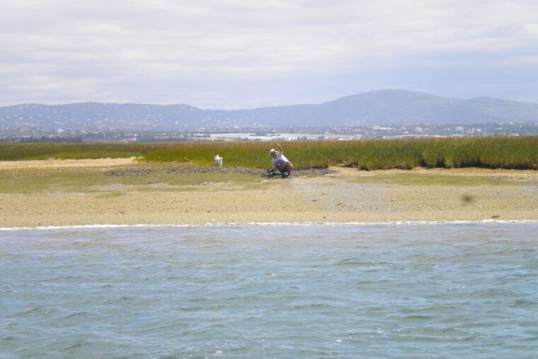 faro-ria-formosa-lagoon-small-boat-tour-with-local-guide