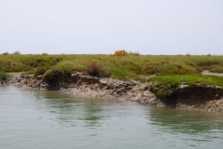 faro-ria-formosa-lagoon-small-boat-tour-with-local-guide