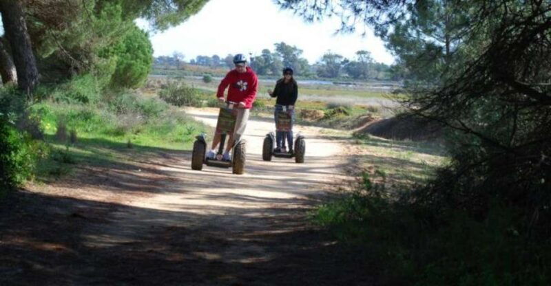 faro-ria-formosa-natural-park-segway-tour-birdwatching