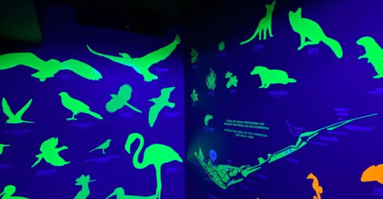 faro-story-spot-multimedia-museumrestaurant-tourtasting