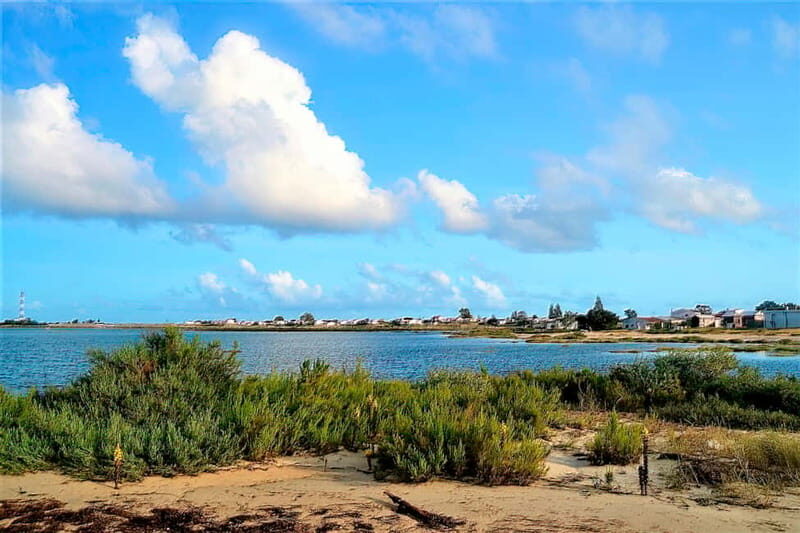 Faro: Sunset 1 hour Ria Formosa Boat Tour - The Sum Up