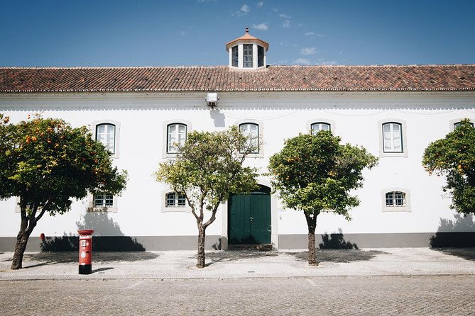 faro-walking-tour-uncover-the-citys-architectural-legacy