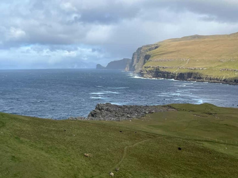 Faroe Islands : Guided Nature Tour of Faroe Islands - FAQ