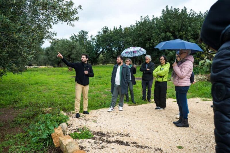 Fasano: Olive Oil Tour With Tasting and Food Pairing - Mastering the Art of Tasting