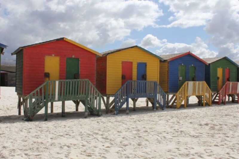 Fascinating Cape Peninsula Experience (private tour) - A Closer Look at the Itinerary and Highlights