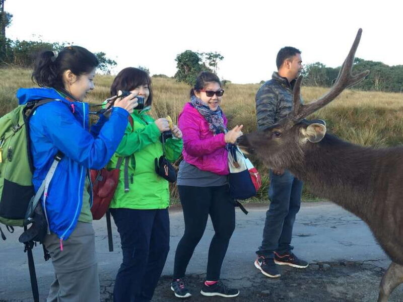 Fascinating Tours in Sri Lanka - What to Expect from the Tour