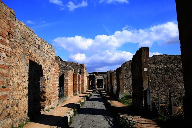 fast-access-exclusive-private-ancient-pompeii-herculaneum-oplontis-guided-tour-2