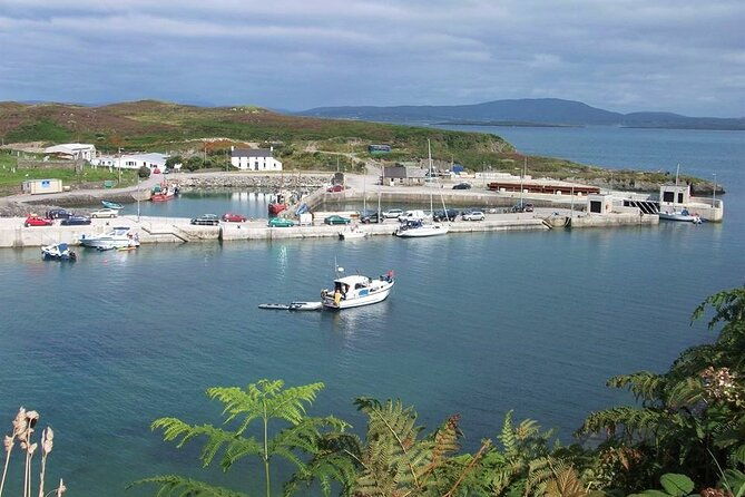 fastnet-rock-lighthouse-cape-clear-island-tour-from-schull-west-cork