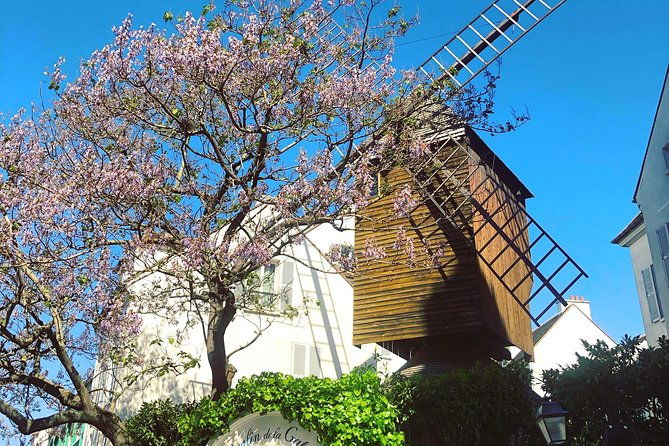 fat-cat-gets-the-early-bird-montmartre