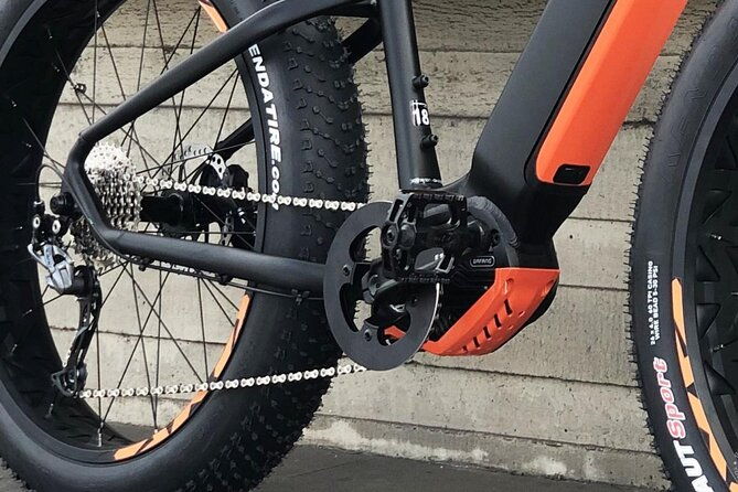 fat-tire-e-bike-great-tour-river-parks-panoramic-views-tour-2