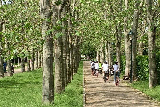 fat-tire-e-bike-great-tour-river-parks-panoramic-views-tour-3