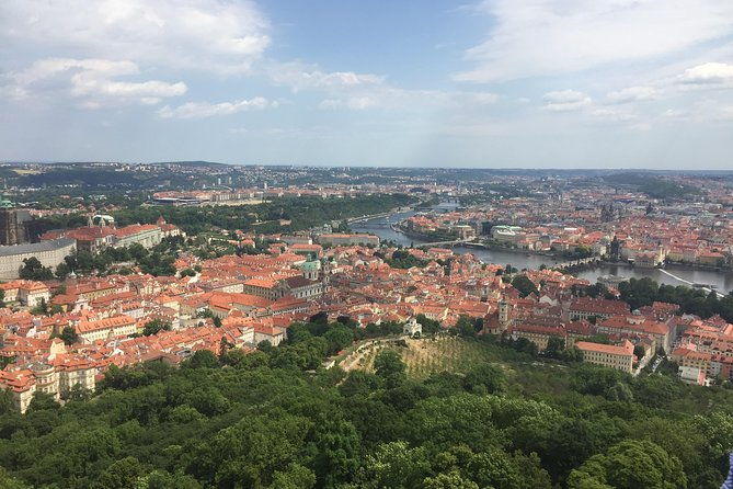 fat-tire-e-bike-great-tour-river-parks-panoramic-views-tour-4