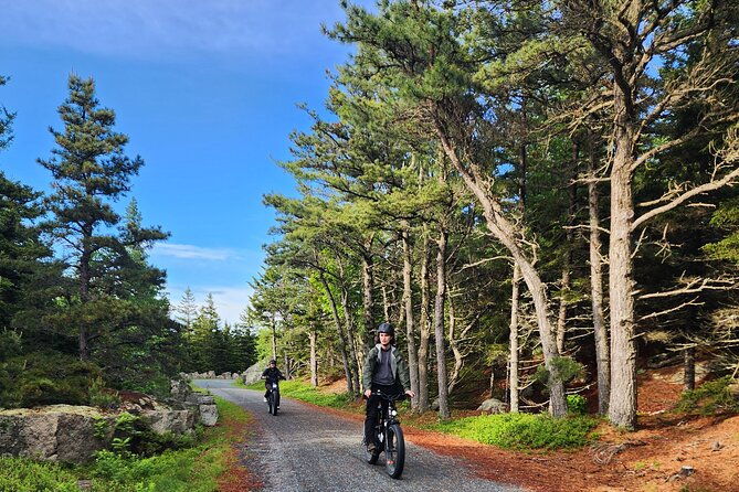 fat-tire-e-bike-rental-in-bar-harbor-2