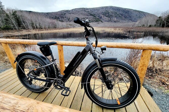 fat-tire-e-bike-rental-in-bar-harbor