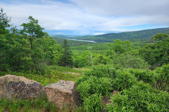 fat-tire-e-bike-rental-in-bar-harbor