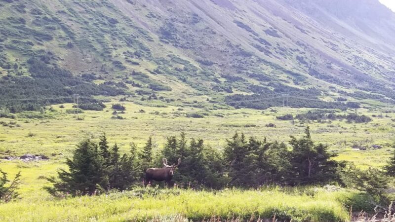Fat Tire MTB in Chugach State Park Tour - FAQs