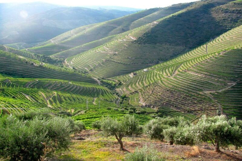 fatima-batalha-nazare-obidos-private-full-day-tour