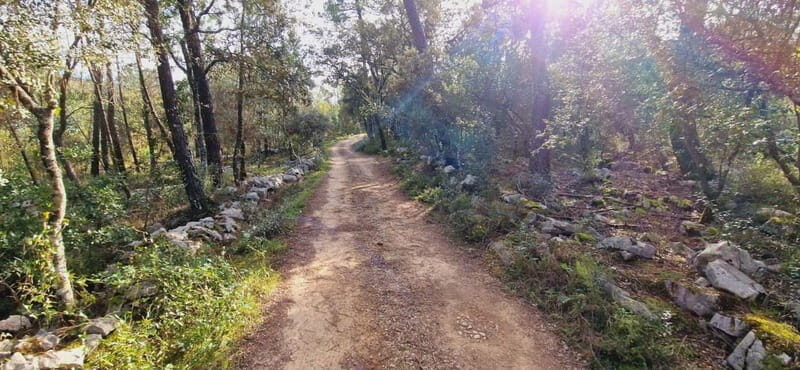 Fátima: E-Bike Tour to Dinosaur Footprints Natural Monument - Who Will Love This Tour?