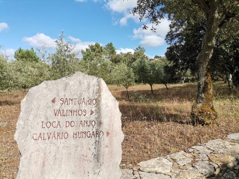 fatima-full-day-private-personalized-tour-from-lisbon