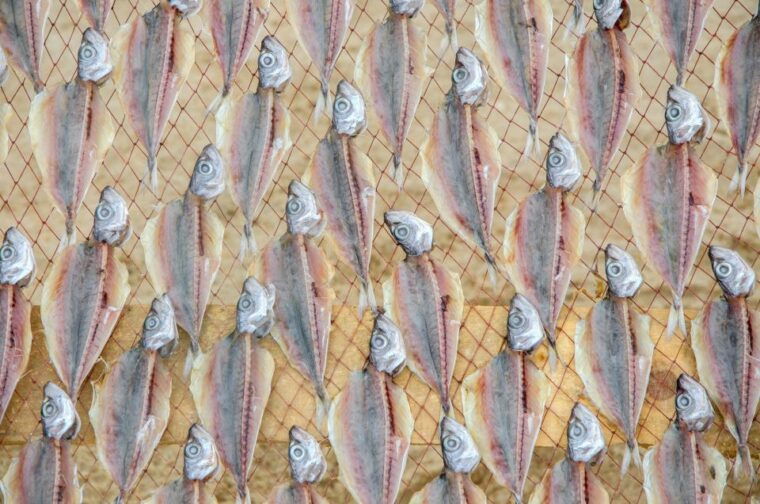 fatima-obidos-and-the-atlantic-coast-day-tour-from-lisbon