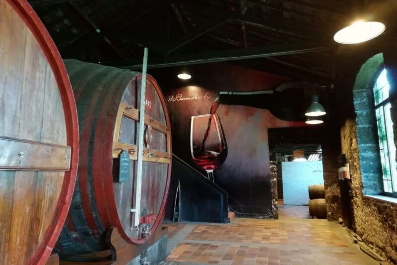 fatima-private-porto-tour