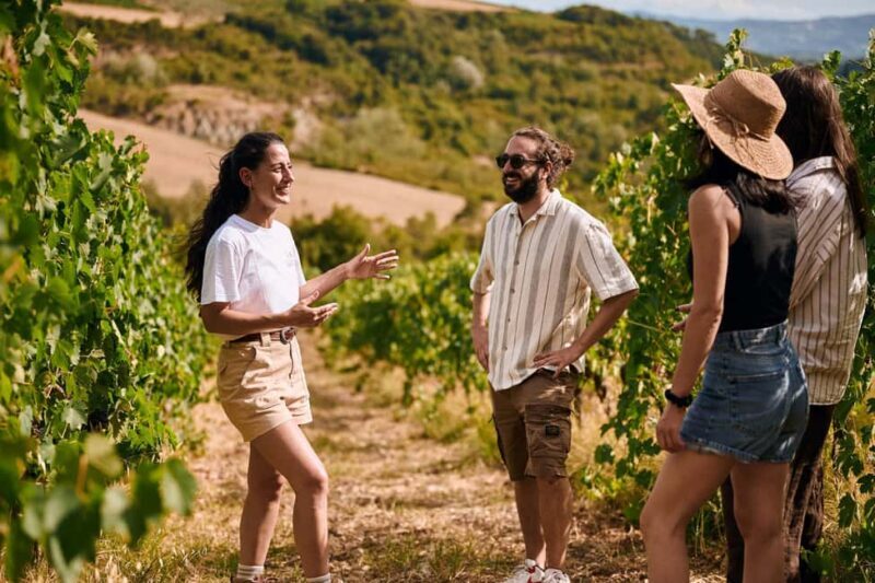 Fattoria La Leccia, Monterspertoli: vineyard walk & tasting - Key Points