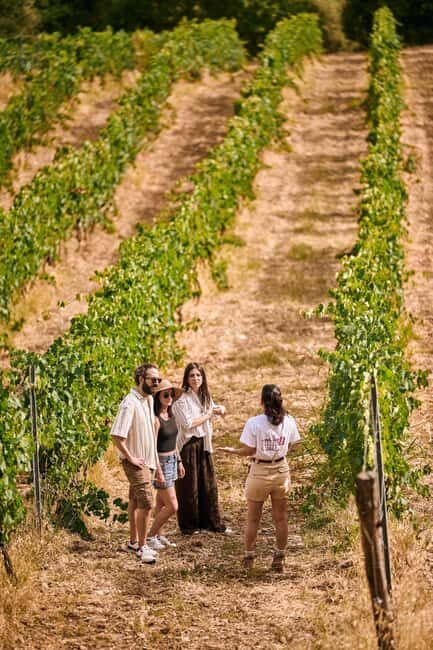 Fattoria La Leccia, Monterspertoli: vineyard walk & tasting - An Overview of Fattoria La Leccias Vineyard Walk & Tasting