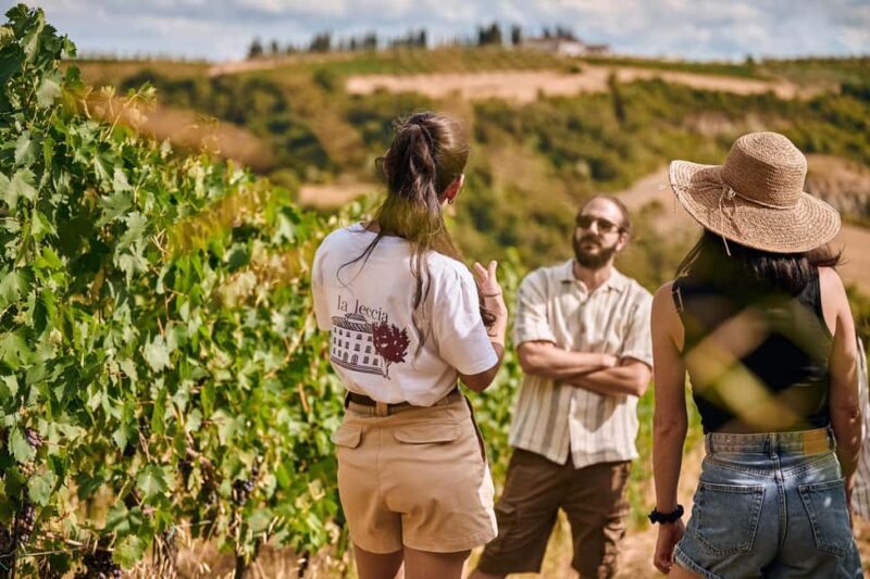 Fattoria La Leccia, Monterspertoli: vineyard walk & tasting - Sunset Tasting with Organic Wines & Olive Oil