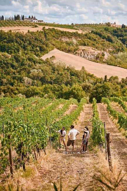 Fattoria La Leccia, Monterspertoli: vineyard walk & tasting - What to Bring and Wear