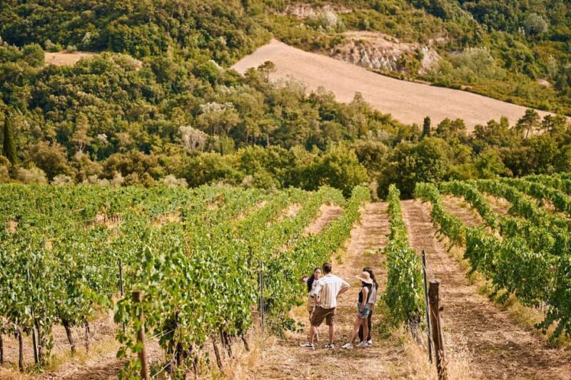 Fattoria La Leccia, Monterspertoli: vineyard walk & tasting - Final Thoughts