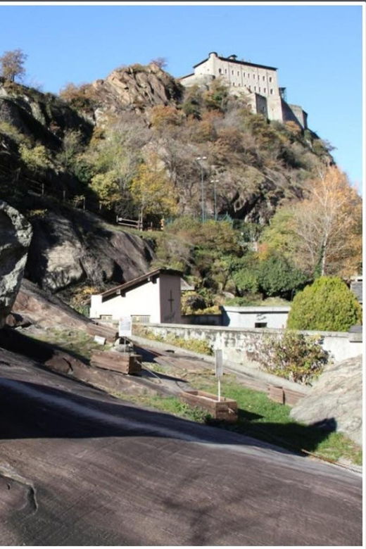 fauna-and-flora-of-exposed-and-engraved-rocks