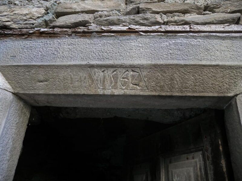 fauna-and-flora-of-exposed-and-engraved-rocks