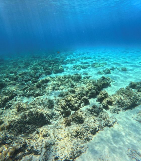 Favignana, Excursions by Dinghy from Marsala - Frequently Asked Questions