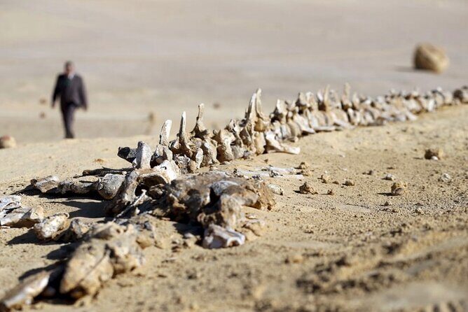 Fayoum 4x4 Safari Adventure, Sandboarding, Lunch, Felucca - Felucca Ride and the Fayoum Oasis