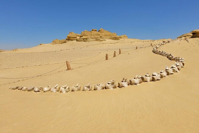 Fayoum Adventure: Whales Valley,4x4 Desert Safari & Wadi Rayan - Who Would Love This Tour?
