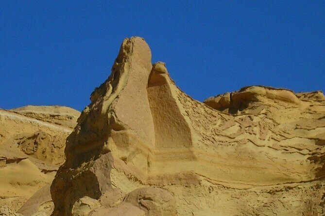 Fayoum Full Day Private Guided Tour from Cairo - Key Points
