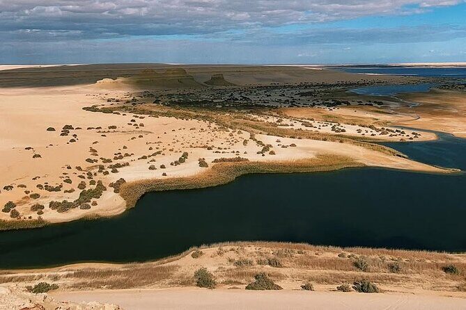 Fayoum Oasis Safari 4×4 Wadi El Rayan & Valley of the whales - Who Should Book This Tour?