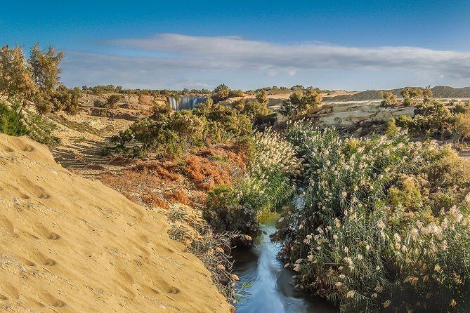 Fayoum Oasis Tour to Karanis, Qarun Lake, Wadi El Rian Waterfalls - Authentic Traveler Insights
